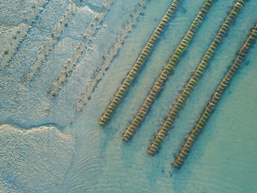 Service Showcase for B2B Success