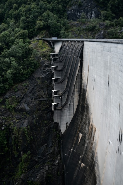 Targeted Marketing for Government Procurement